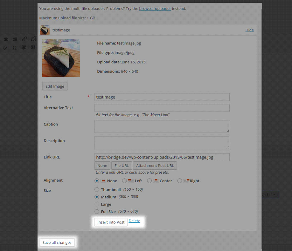 self-hosted-video-13.png