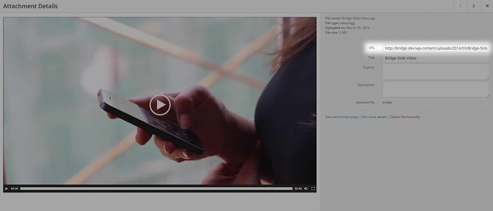 self-hosted-video-8.png