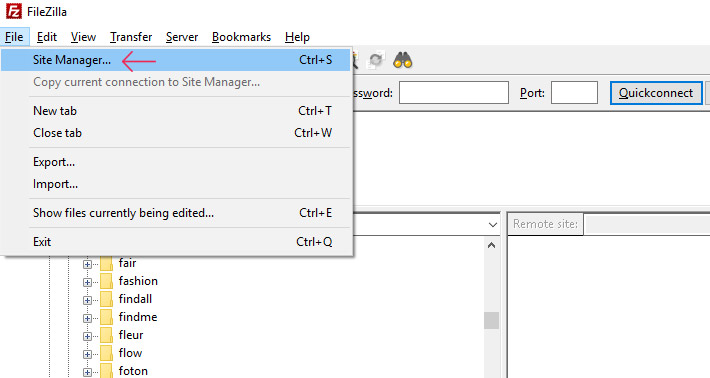 Site-Manager.jpg